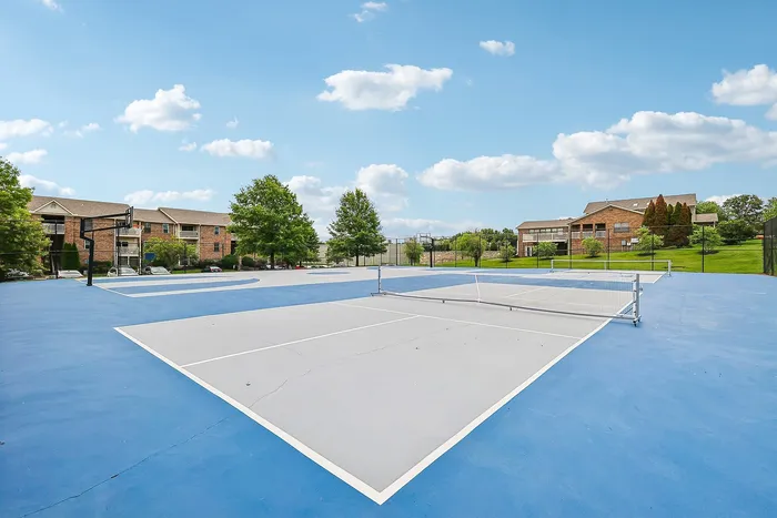 Scenic view of a vibrant blue multi-sport court within a peaceful residential community, perfect for outdoor activities and recreation.