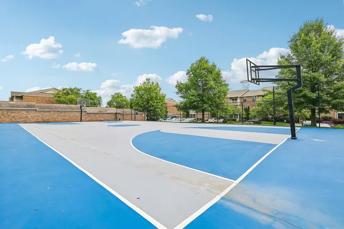 Vibrant outdoor basketball court with a blue and gray surface set amidst lush greenery and residential buildings under a clear sky.