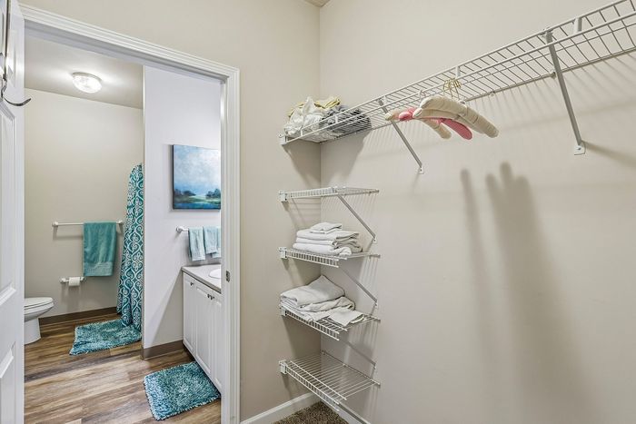 Bright and inviting bathroom entry featuring plush teal accents, elegant shelving, and modern fixtures.