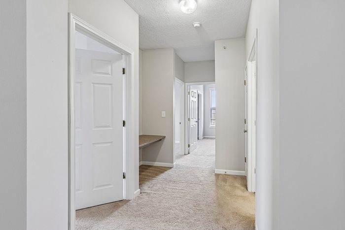 Bright hallway with modern white doors leading to sunlit rooms, featuring plush carpet and clean aesthetic.