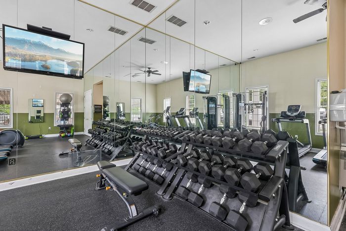 Modern fitness center equipped with a variety of free weights, cardio machines, and mirrored walls for an enhanced workout experience.