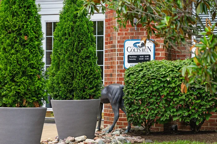 Inviting entrance of Colts Run Apartments framed by lush greenery and elegant landscaping.
