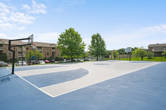 Expansive outdoor basketball court surrounded by lush greenery in a vibrant community setting.