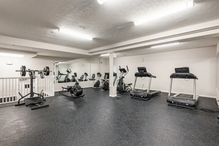Modern apartment gym with treadmills, exercise bikes, and weightlifting equipment in a spacious, well-lit room.