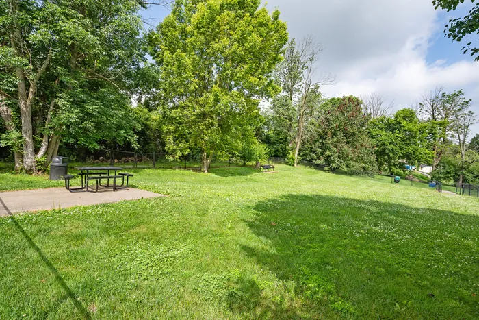 Serene outdoor area showcasing lush greenery, mature trees, and a cozy picnic spot on a sunny day.