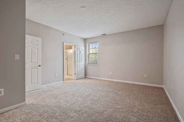 Spacious bedroom with plush carpeting, ample natural light, and easy bathroom access.