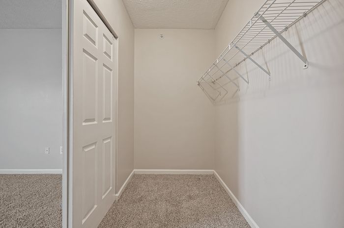 Spacious walk-in closet with sleek wire shelving and plush carpeting for organized storage.