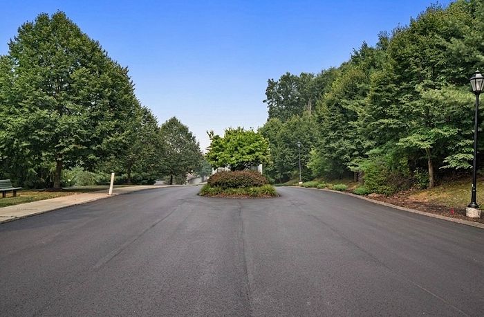 Serene tree-lined street with a lush green median, ideal for peaceful strolls and nature lovers.