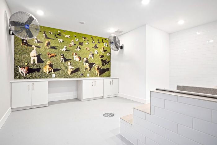 Resident Pet Spa