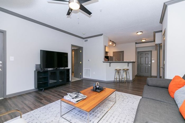 Open Floor Living Room
