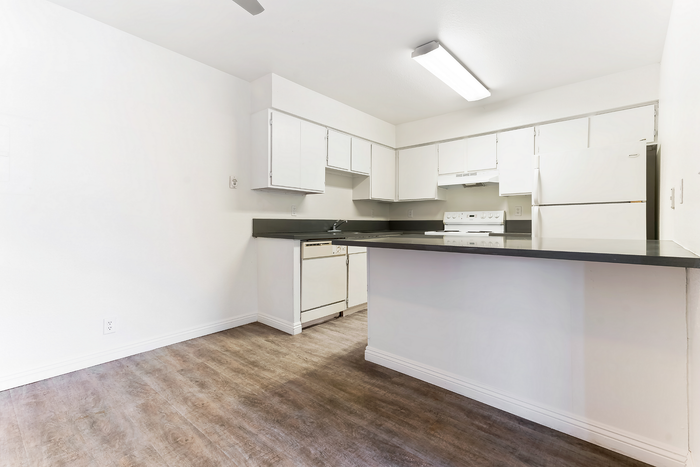 Model Unit