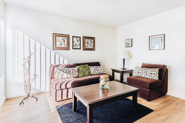 Big living room with floors that are easy to clean.