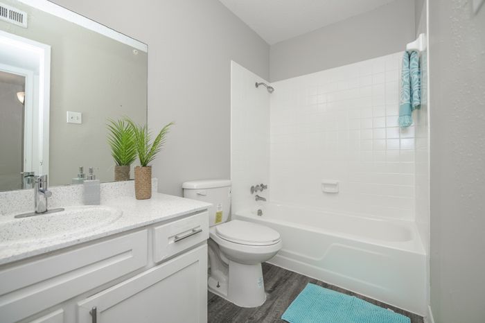 Blue Vine Bathroom
