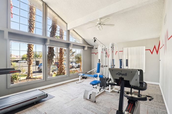 Bright and inviting home gym with modern equipment, large windows, and scenic outdoor views.
