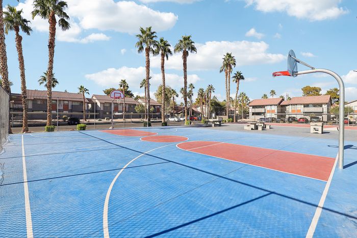 Vibrant outdoor basketball court surrounded by palm trees, perfect for active community living and leisure.