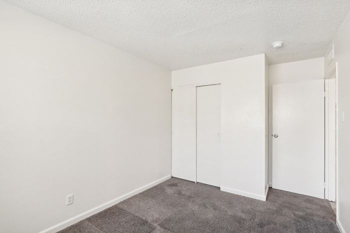 Bright and spacious bedroom with plush carpeting and sleek white closet doors, perfect for modern living.