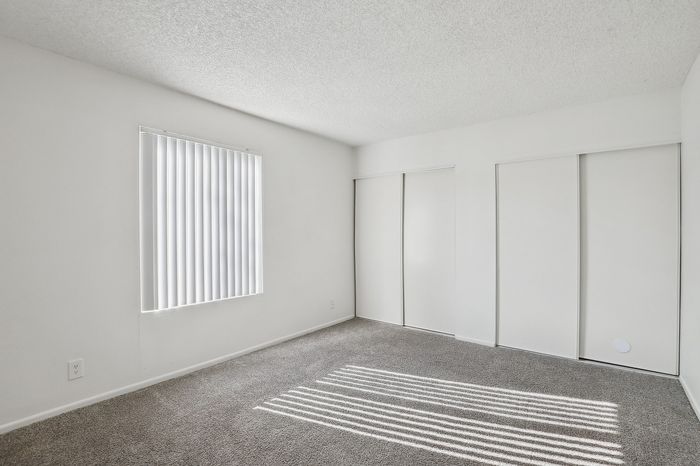 Bright and spacious empty room with plush carpeting, vertical blinds, and ample closet space.