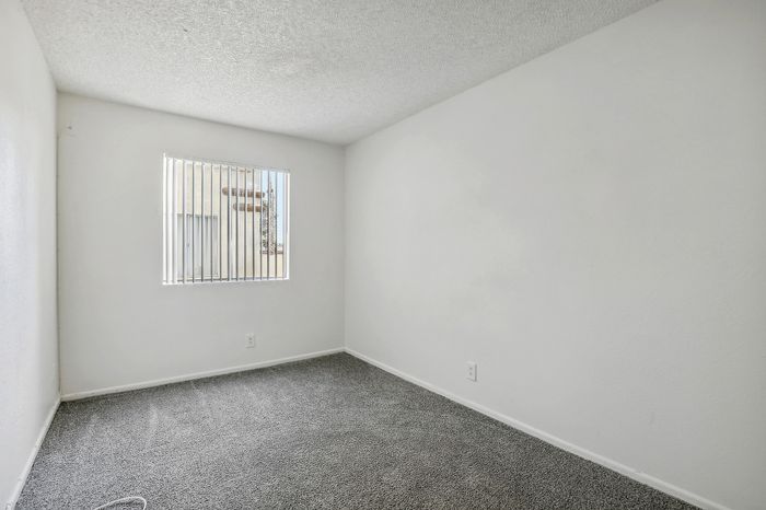 Bright and cozy bedroom with soft carpeting and a large window inviting natural light.