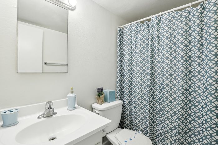 Charming bathroom with elegant blue and white patterned shower curtain, sleek vanity, and contemporary fixtures.