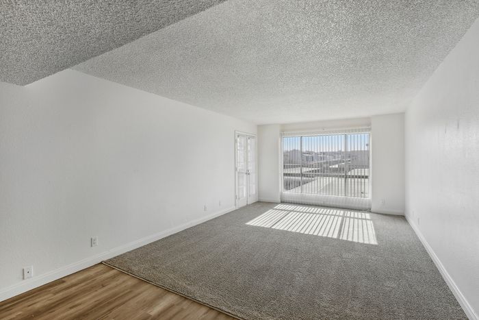 Bright and spacious living room with large windows and plush carpeting, offering an inviting and open atmosphere.