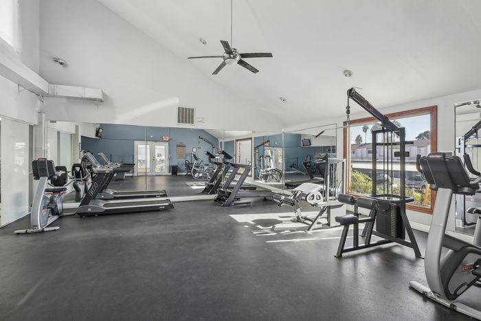 Modern fitness center with large mirrors, state-of-the-art equipment, and bright natural lighting.