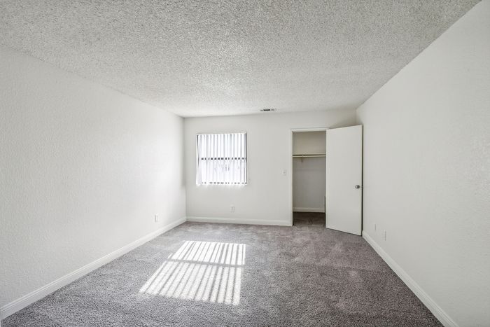 Bright and airy bedroom with plush gray carpeting, large window providing natural light, and a spacious closet in a modern apartment.