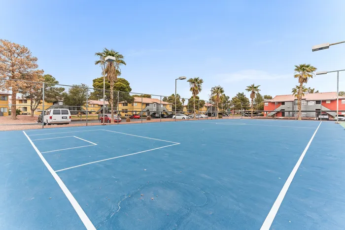 Inviting outdoor sports court with scenic palm trees and vibrant community atmosphere.