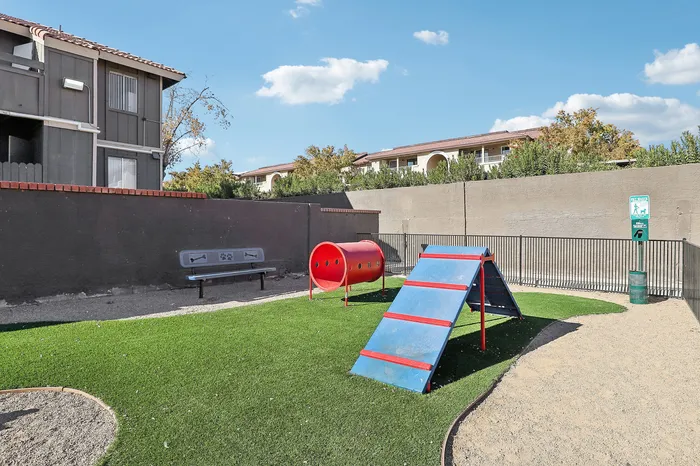 Vibrant apartment complex dog park featuring agility equipment with sunny outdoor space for pet enjoyment.