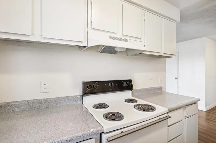 Modern kitchen featuring sleek white cabinetry and a pristine electric stove, offering a clean and inviting space perfect for culinary adventures.
