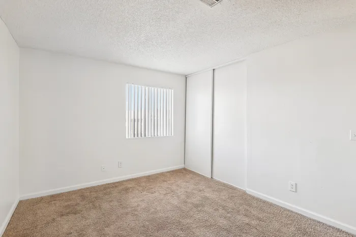 Bright, cozy room with plush carpeting, white walls, and a large window with vertical blinds.