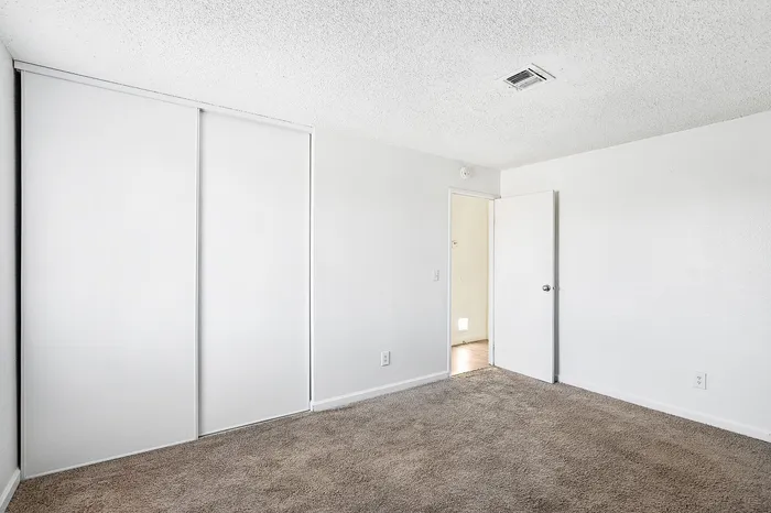 Bright and airy bedroom featuring a stylish sliding closet door and plush carpet flooring.