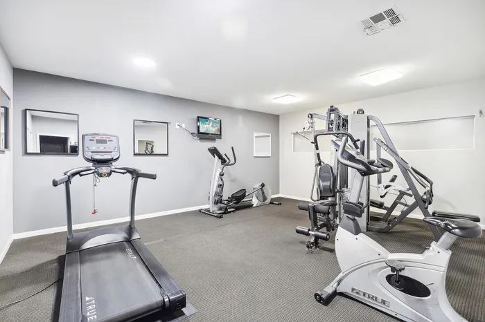Modern apartment fitness center equipped with treadmill, elliptical, and versatile weight machine, featuring bright lighting and sleek decor.