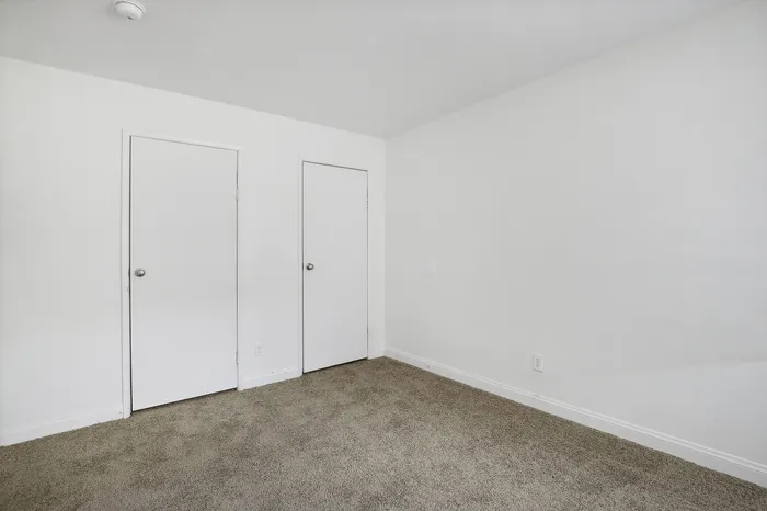 Bright and spacious empty room with plush carpet and two pristine white doors, ideal for customizable living space.