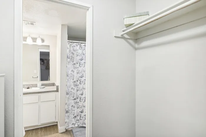 Modern bathroom with elegant butterfly-patterned shower curtain, sleek vanity, and spacious walk-in closet with shelving.