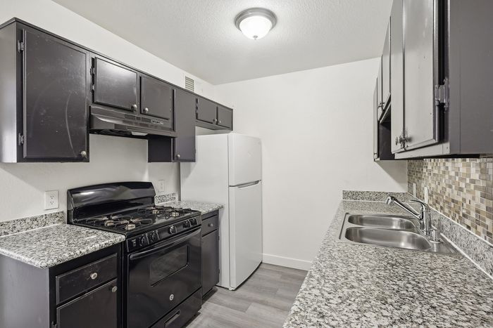 Chic kitchen with modern dark cabinets, granite countertops, and sleek appliances, creating a sophisticated cooking space.
