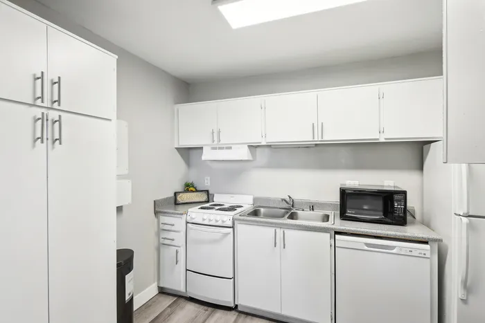 Modern kitchen with sleek white cabinetry, stylish appliances, and charming decor accents.