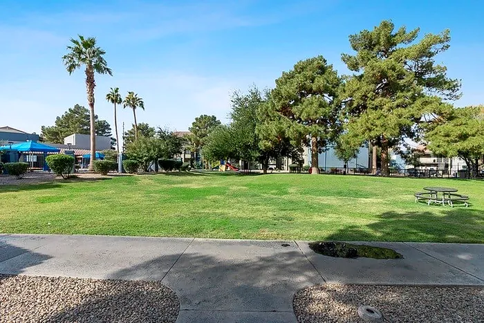 Expansive lush green lawn with tall palm and pine trees, featuring shaded picnic areas and vibrant community views.