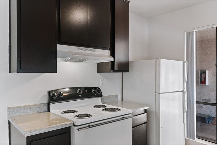 Modern kitchen with sleek dark cabinetry, electric stovetop, and spacious countertop, ideal for culinary enthusiasts.