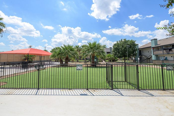 Inviting outdoor space with lush palm trees and open seating under a vibrant canopy, perfect for relaxation and gatherings.