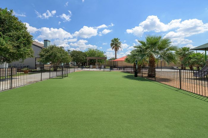 Inviting outdoor space with lush green lawn, tall palm trees, and a clear blue sky, perfect for relaxation and leisure activities.