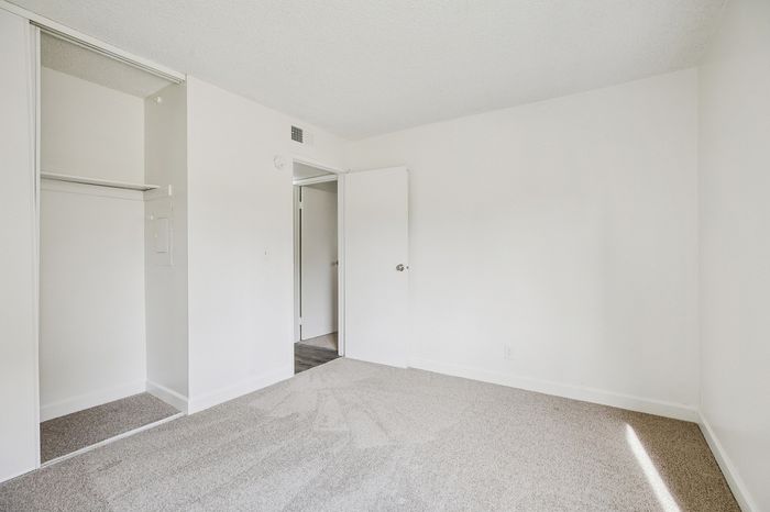 Bright and inviting bedroom featuring fresh carpet flooring, ample closet space, and a minimalist design with abundant natural light.