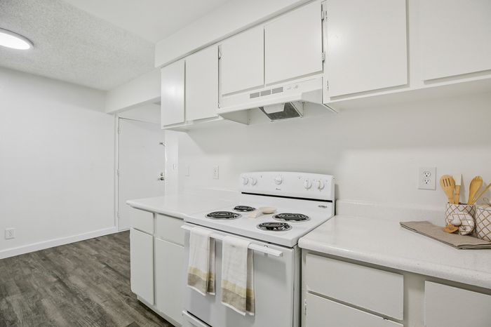 Charming kitchen boasting sleek white cabinets, modern black stove, and elegant wood flooring, exuding a bright and inviting ambiance.
