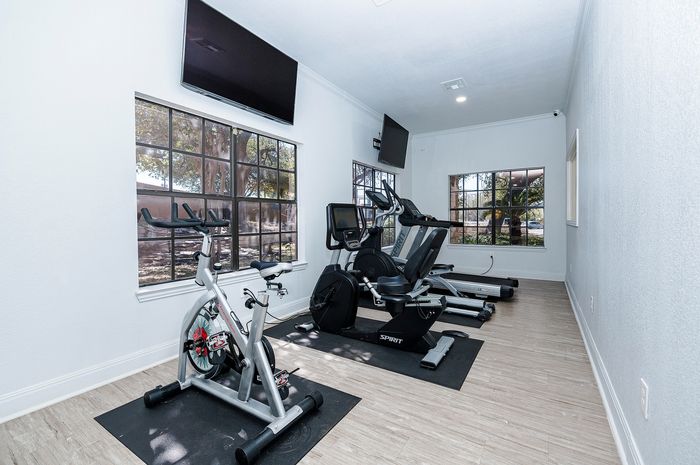 Bright and airy fitness room featuring state-of-the-art exercise equipment with scenic window views, creating a perfect space for invigorating workouts.