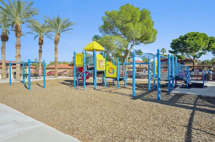 Vibrant playground featuring colorful climbing structures surrounded by lush palm trees, perfect for family fun and outdoor enjoyment.