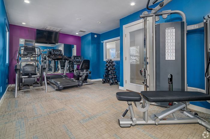 Modern fitness center with vibrant blue and purple walls, featuring state-of-the-art treadmills, weight machines, and free weights.