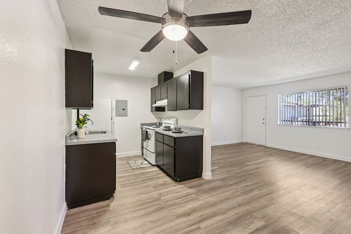 Modern apartment interior featuring a sleek open-plan kitchen and living area with stylish dark cabinetry, bright overhead lighting, and spacious wood-style flooring.