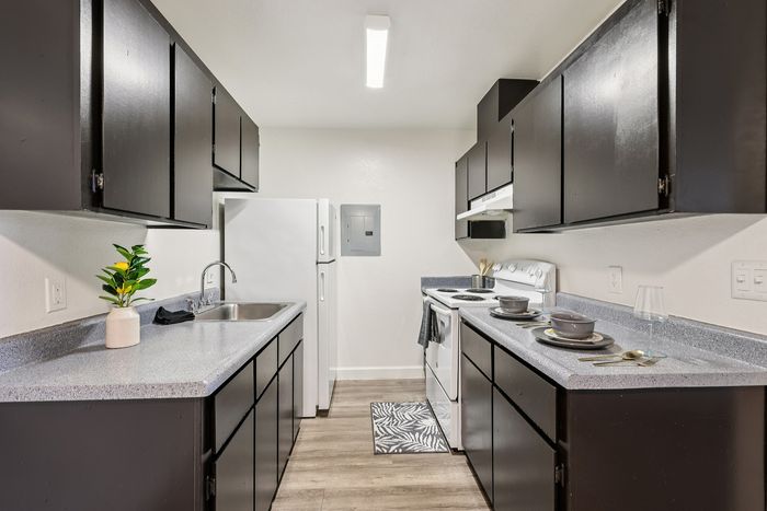 Sleek apartment kitchen with modern black cabinetry, pristine countertops, and stylish decor exuding contemporary charm.