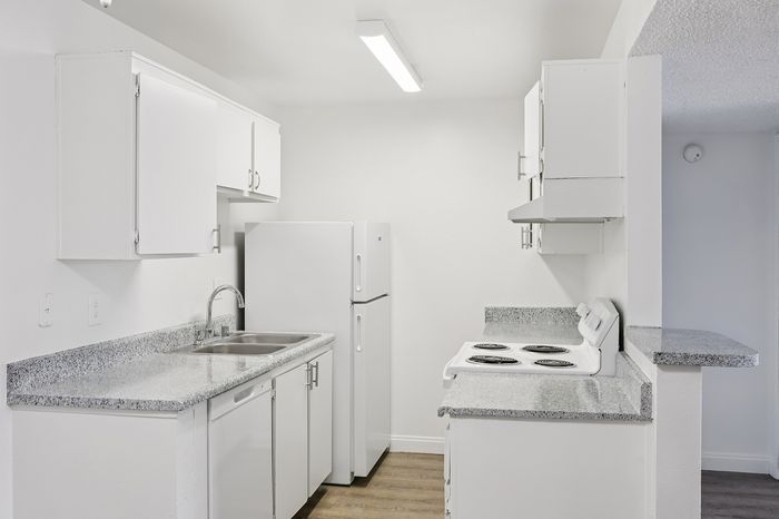 Bright contemporary kitchen with sleek white cabinets, modern gray countertops, and stainless steel appliances.