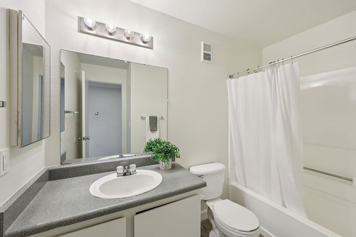 Sleek and modern bathroom featuring a spacious vanity with a large mirror, elegant lighting, and a convenient shower-tub combo accented by a fresh plant.