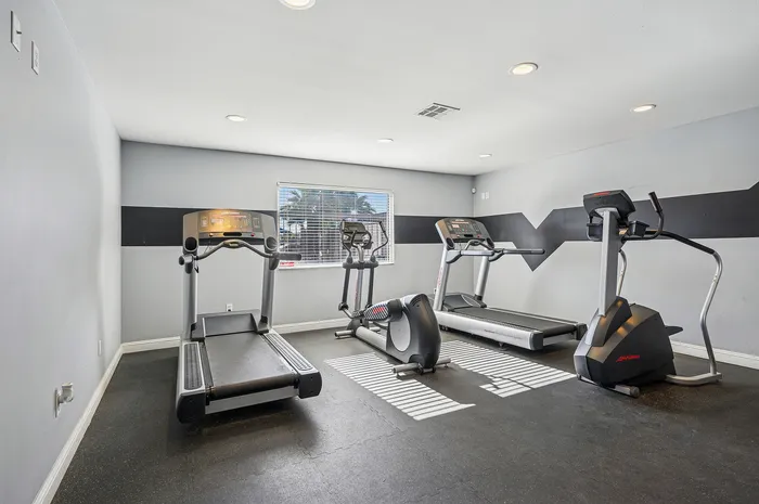 Modern fitness room with state-of-the-art treadmills and exercise equipment, complemented by ample natural light through a large window.